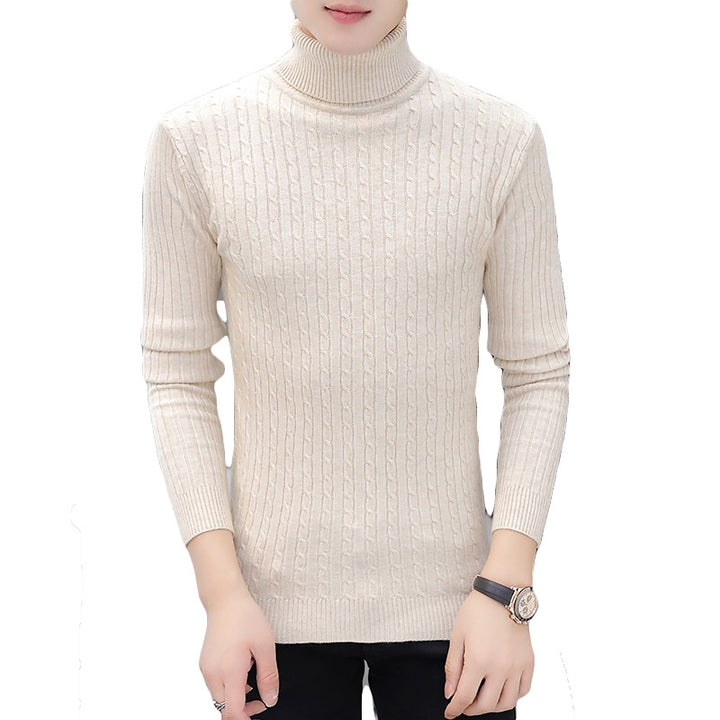 Herren Rollkragenpullover im stilvollen Rippstrickdesign Aliams