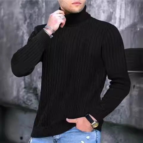 Herren Strickpullover mit modernem Rippmuster und hohem Kragen Aliams