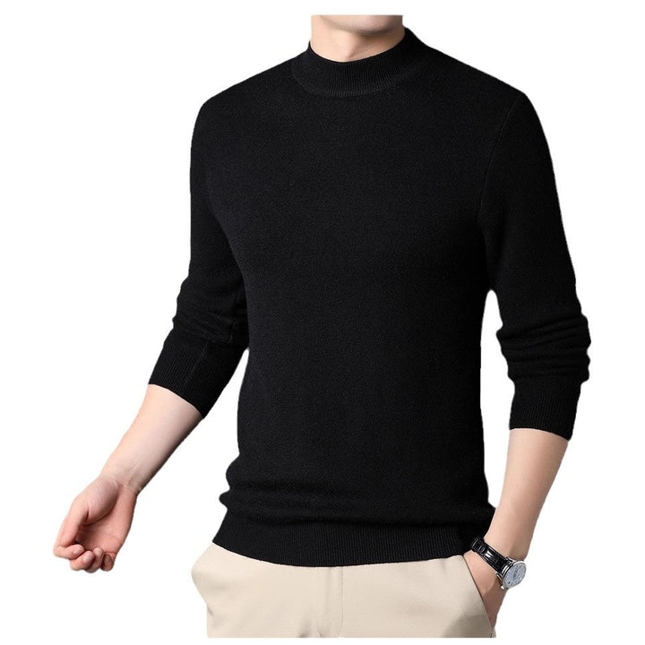 Herren Feinstrickpullover mit Rollkragen und soften Materialien Aliams