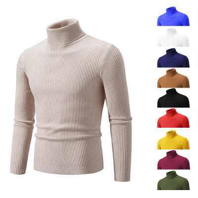 Herren Rollkragenpullover aus fein geripptem Material Aliams