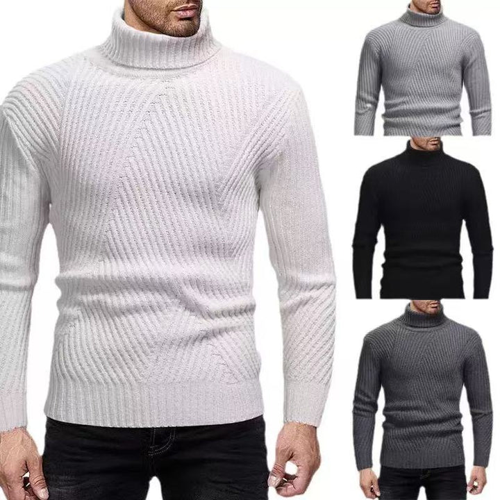 Herren Rollkragenpullover mit gerippter Struktur Aliams