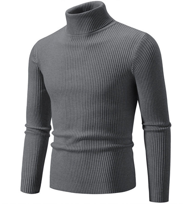 Herren Rollkragenpullover mit strukturiertem Rippenmuster Aliams