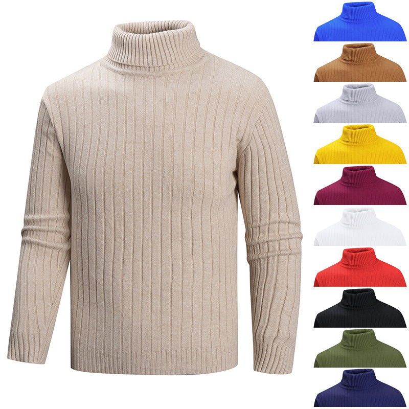 Herren eleganter Pullover mit hohem Kragen und feiner Rippenstruktur Aliams