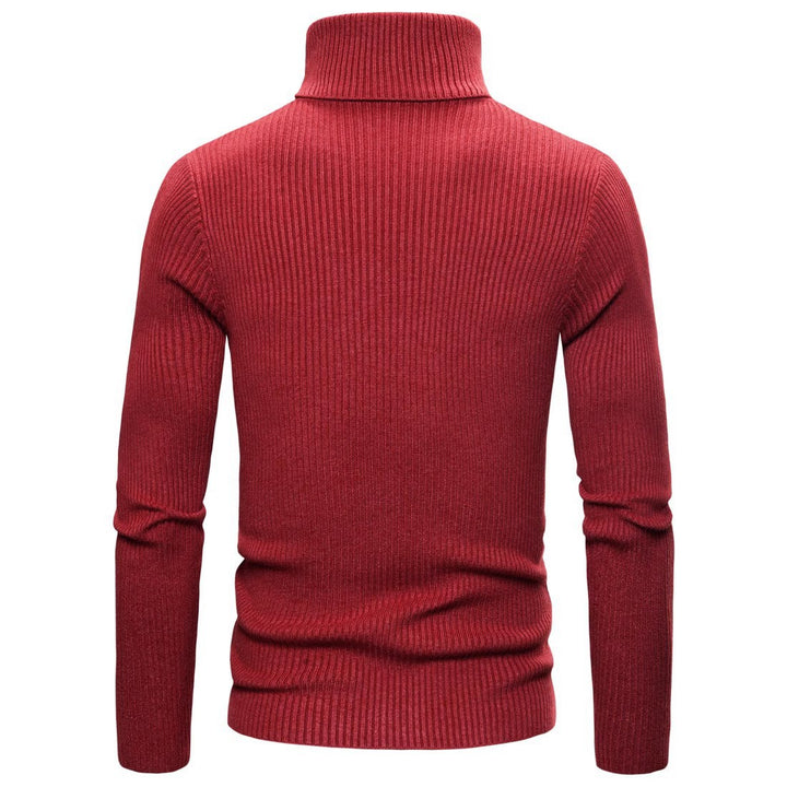 Herren Ripp-Strickpullover mit hohem Kragen und körpernahem Schnitt Aliams