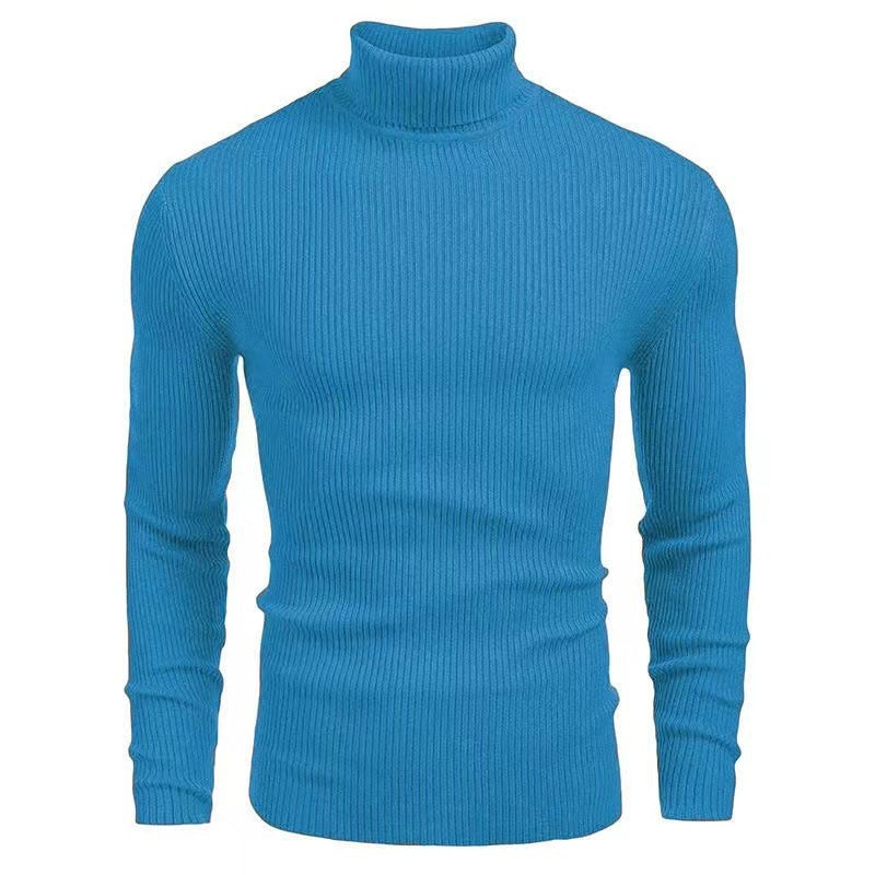 Herren Rollkragenpullover mit strukturiertem Rippenmuster Aliams