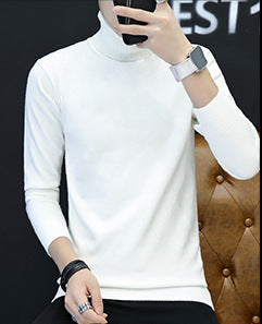 Herren Rollkragenpullover aus feinem Strick Aliams