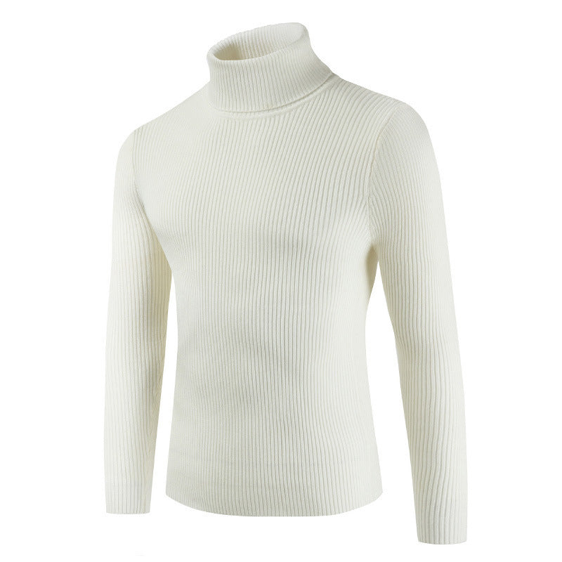 Damen Rollkragenpullover aus gehäkeltem Strick Aliams