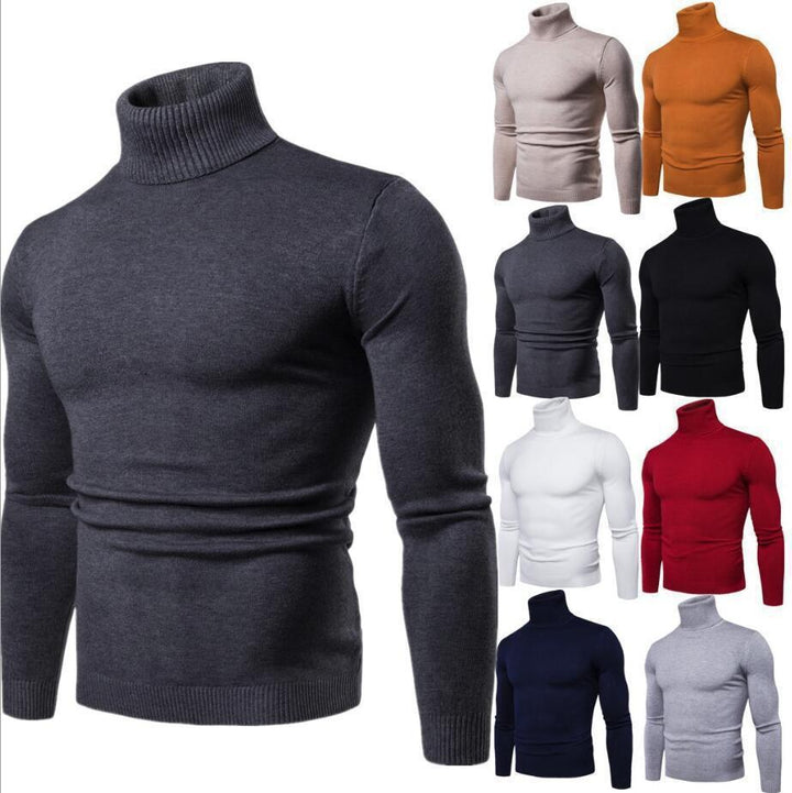 Herren figurbetonter Pullover mit Rollkragen Aliams