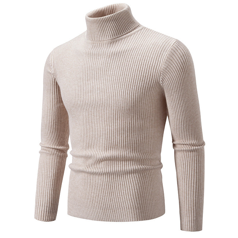 Herren Rollkragenpullover mit strukturiertem Rippenmuster Aliams