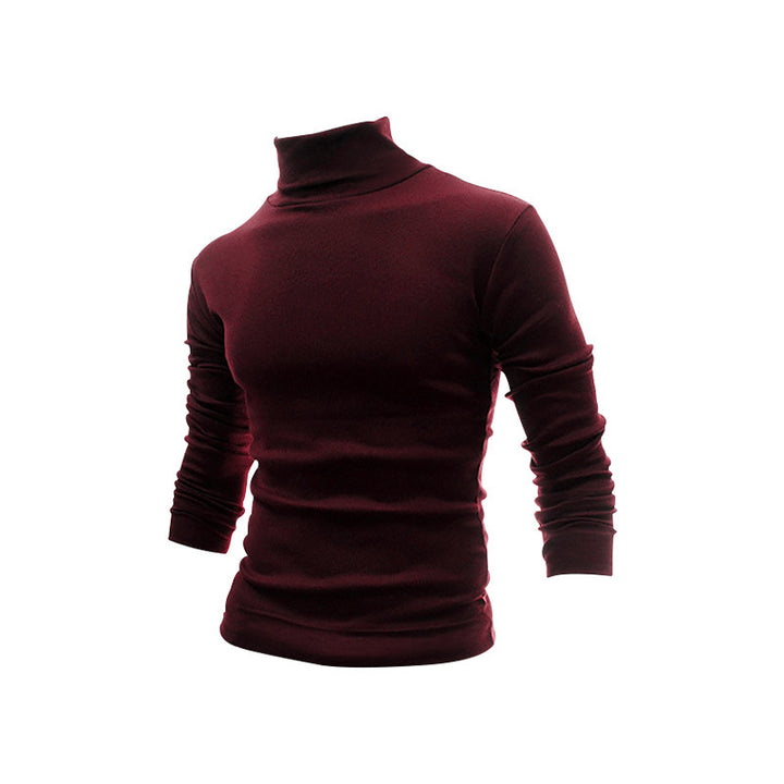 Herren Rollkragenpullover aus weichem, temperaturregulierendem Material Aliams