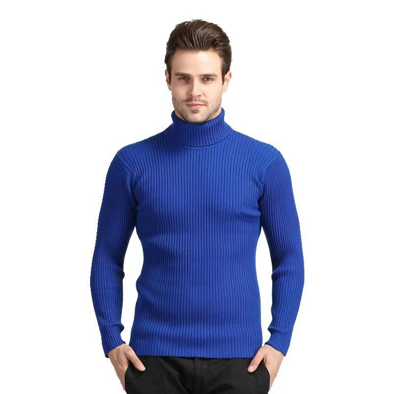 Herren Rollkragenpullover aus feinem Rippstrick Aliams