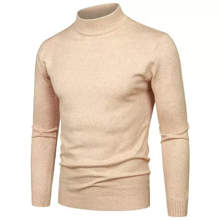 Herren Rollkragenpullover aus hochwertigem Strickmaterial mit feiner Textur Aliams