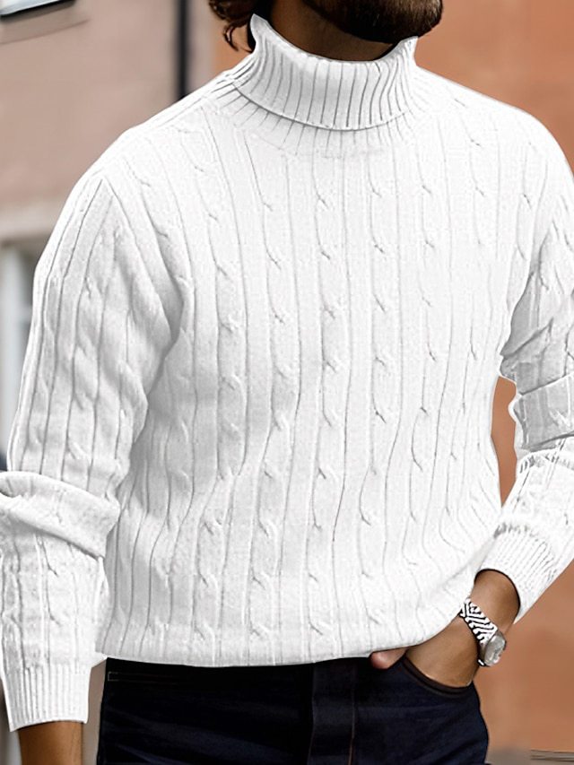 Herren Feinstrick Rollkragenpullover Aliams