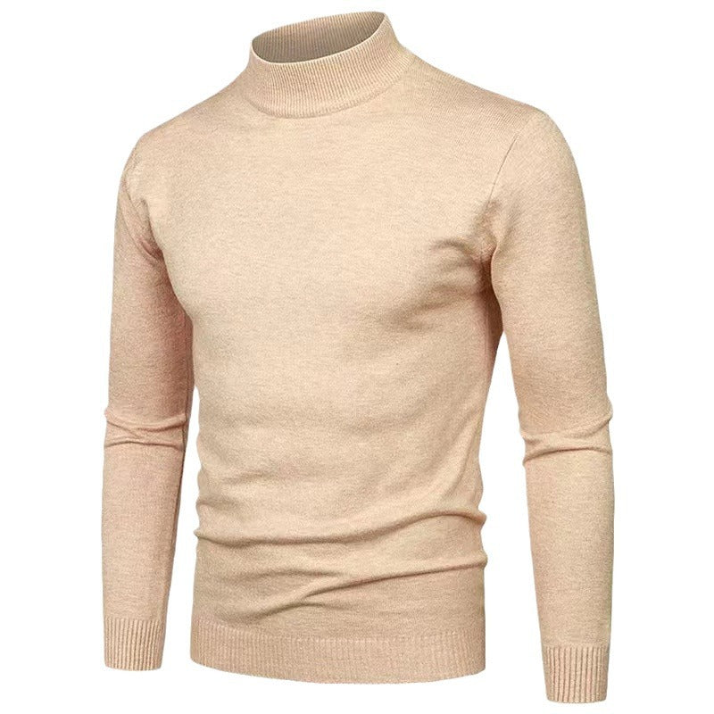 Herren Rollkragenpullover aus hochwertigem Strickmaterial mit feiner Textur Aliams