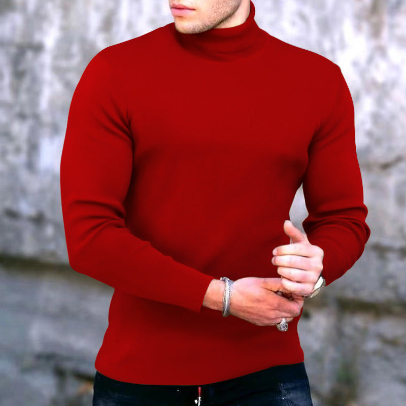 Herren eleganter Rollkragenpullover Aliams