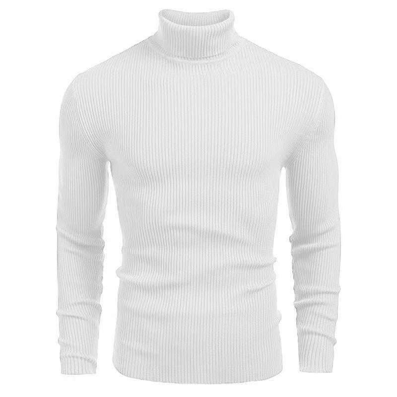 Herren Rollkragenpullover mit strukturiertem Rippenmuster Aliams