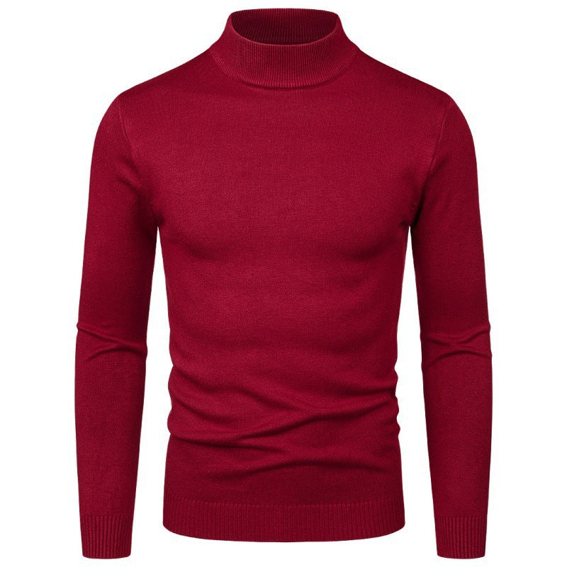 Herren eleganter Rollkragenpullover aus feiner Baumwollmischung Aliams