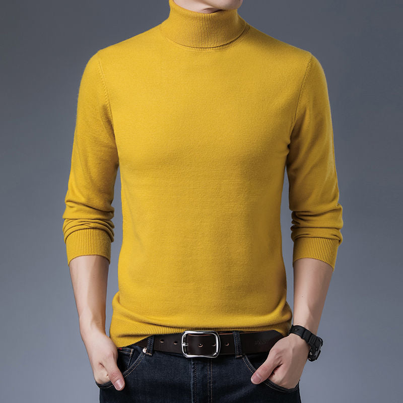 Herren Rollkragenpullover aus hochwertiger Wolle Aliams