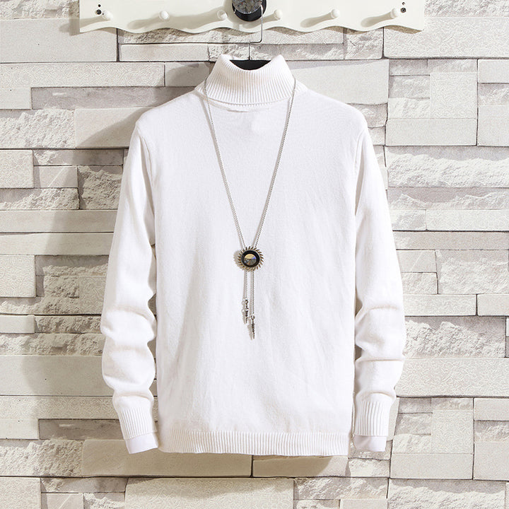 Herren Rollkragenpullover aus hochwertigem Strickmaterial Aliams