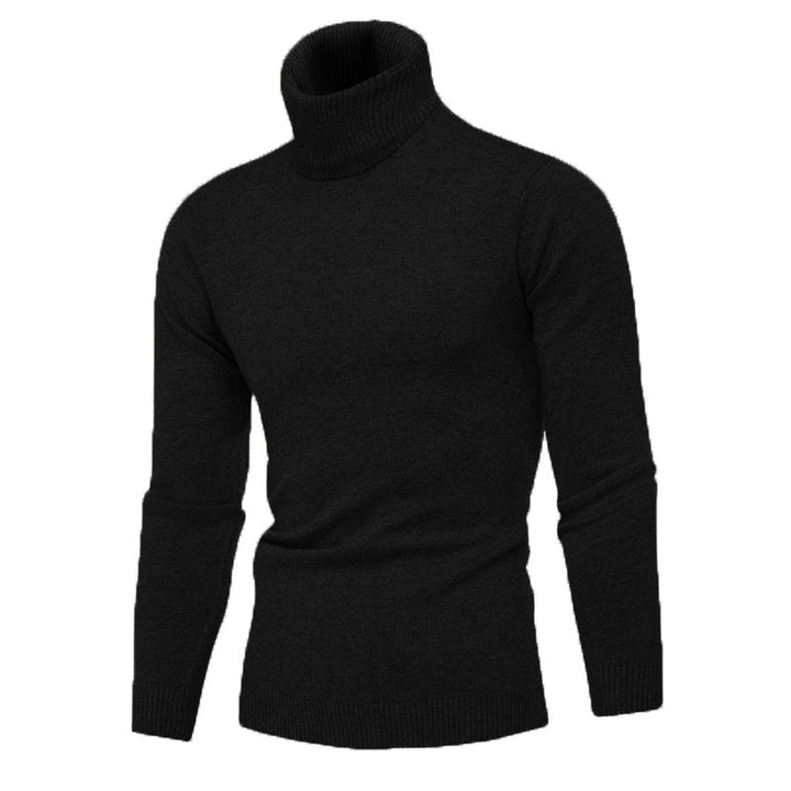 Herren Strickpullover mit hohem Kragen Aliams