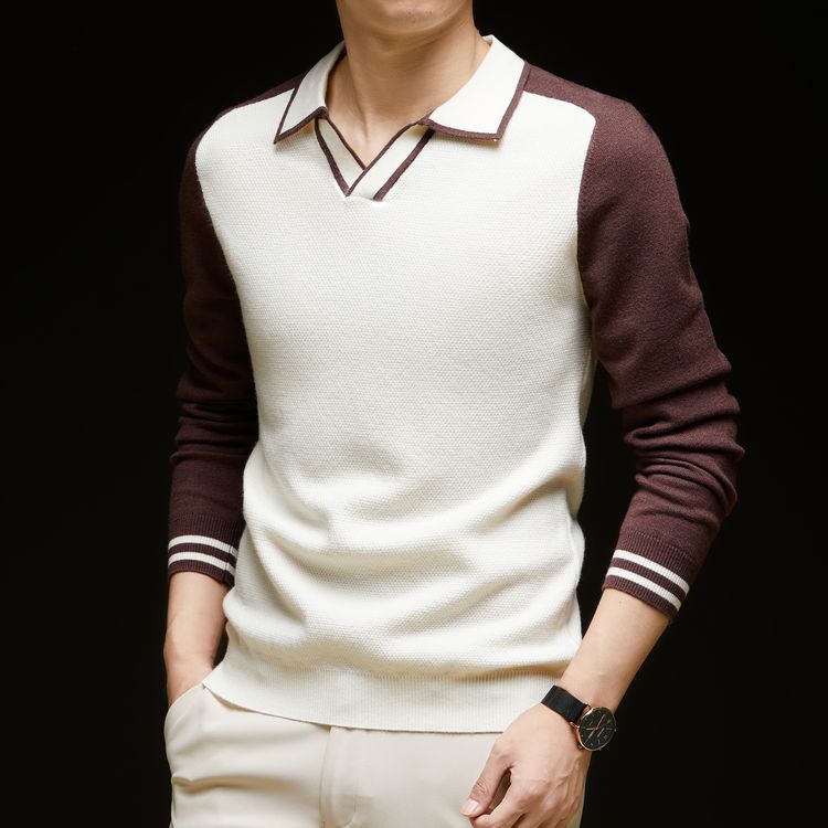 Herren Feinstrickpullover mit V-Ausschnitt und modischem Kontrastdesign Aliams