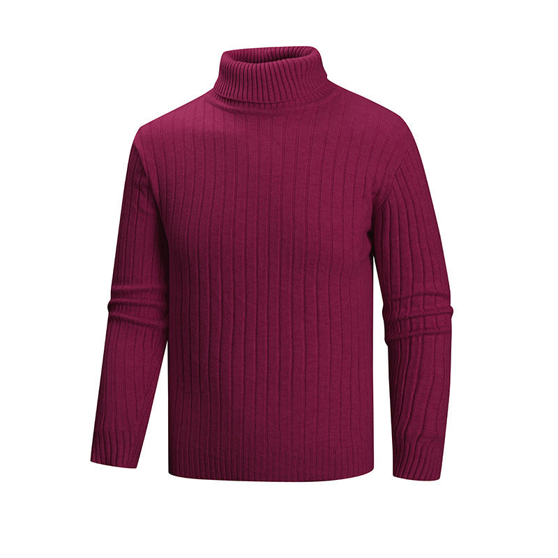 Herren Strickpullover mit Stehkragen Aliams