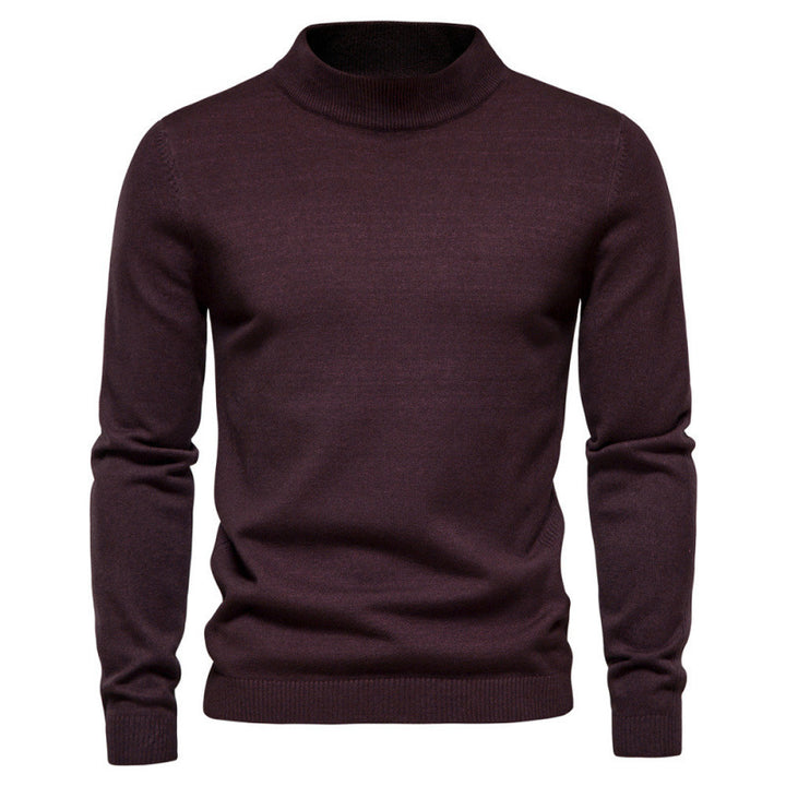 Herren Strickpullover mit hohen Kragen Aliams
