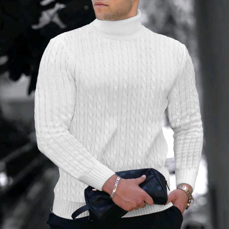 Herren eleganter Rollkragenpullover mit exquisiter Zopfmusterstruktur Aliams