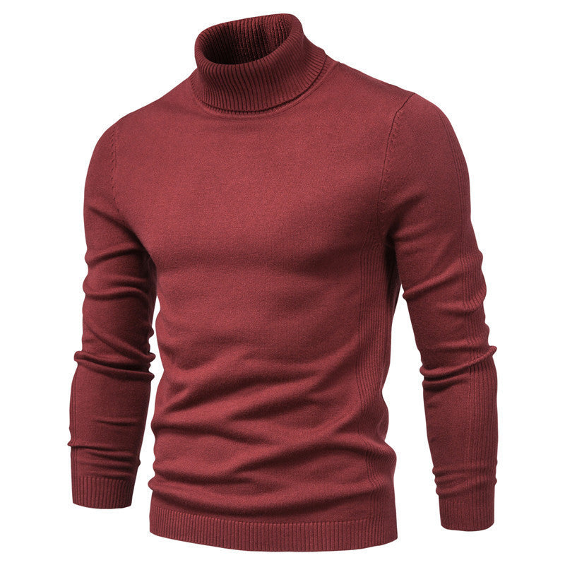 Herren eleganter Rollkragenpullover aus feinem Strick Aliams