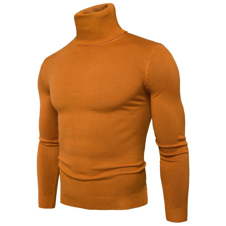 Herren Rollkragenpullover aus weichem Merinowolle Aliams