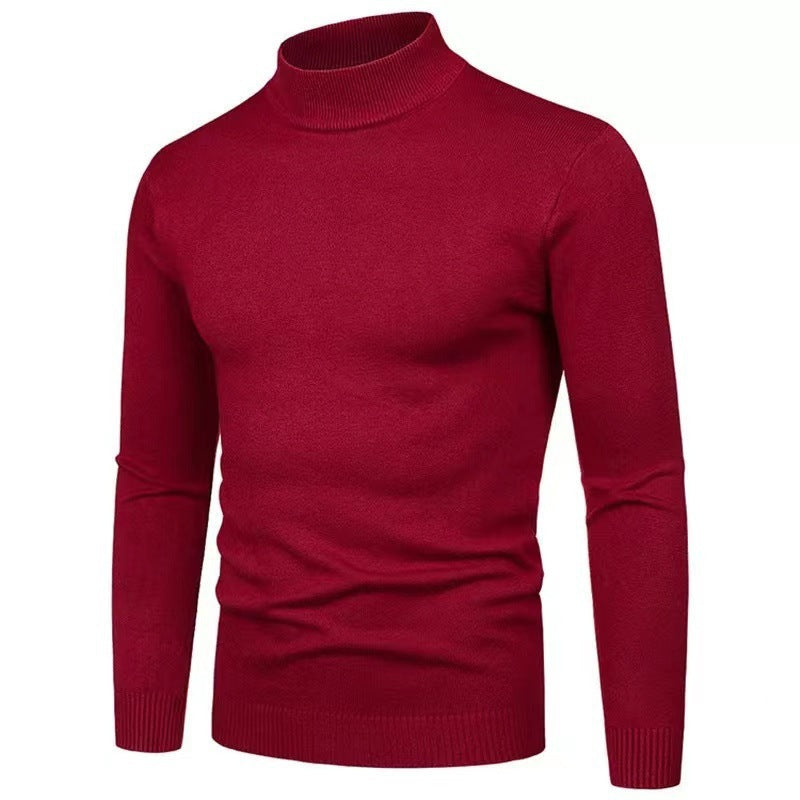 Herren Rollkragenpullover aus hochwertigem Strickmaterial Aliams