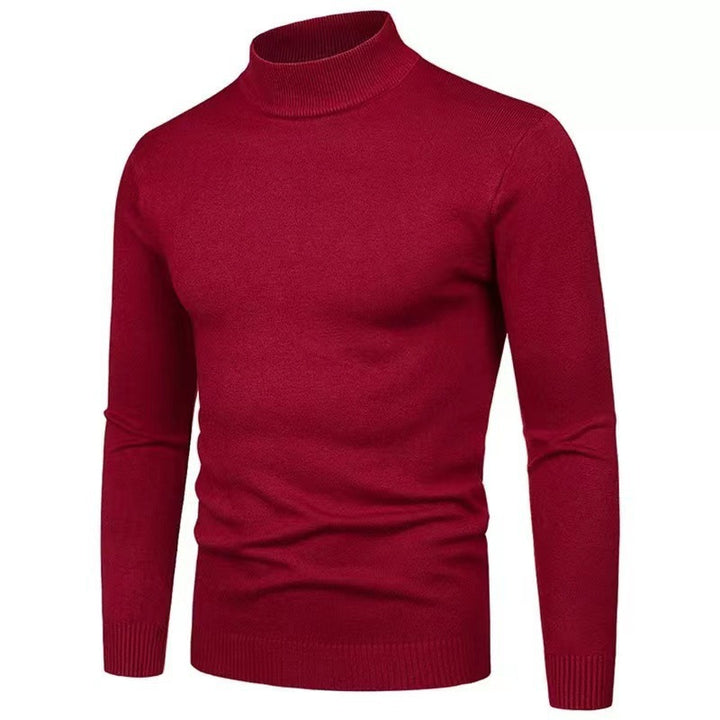 Herren Rollkragenpullover aus hochwertigem Strickmaterial Aliams