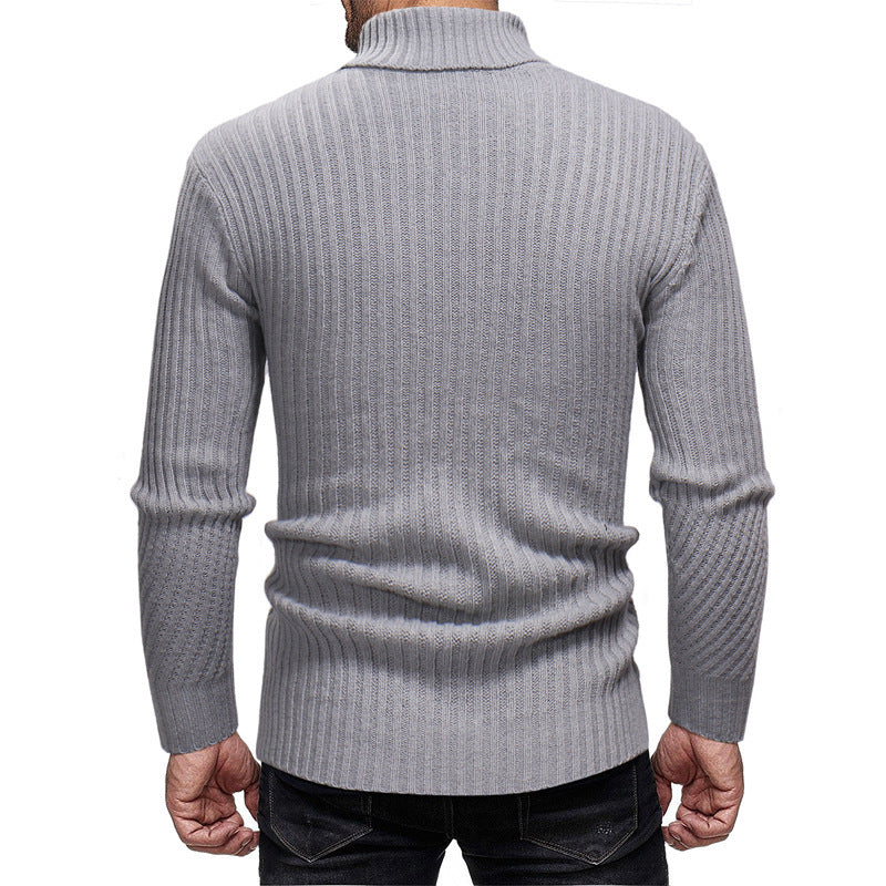 Herren Rollkragenpullover Aliams