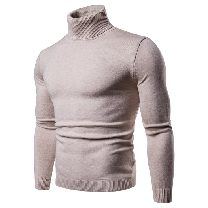 Herren Rollkragenpullover aus weichem Strick Aliams