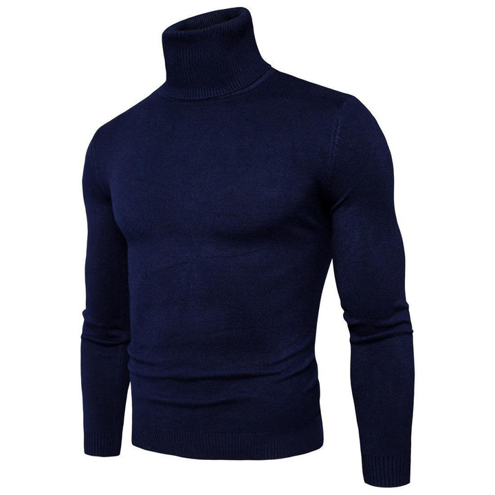 Herren Rollkragenpullover aus weichem Merinowolle Aliams