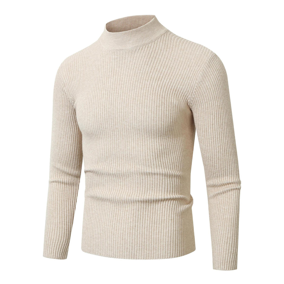 Herren Rollkragenpullover aus feinem Rippstrickmaterial Aliams