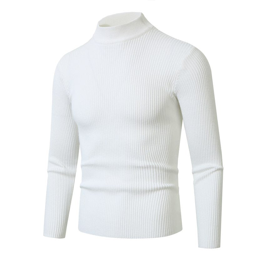 Herren Rollkragenpullover aus hochwertiger Rippenstruktur Aliams