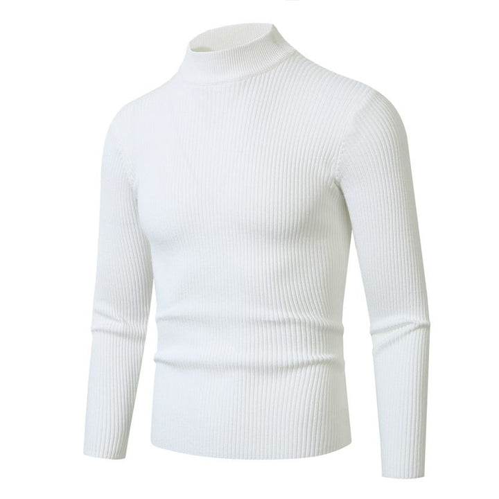 Herren Rollkragenpullover aus hochwertiger Rippenstruktur Aliams