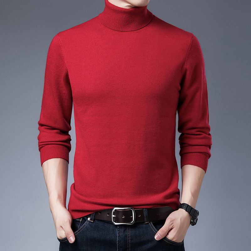 Herren Rollkragenpullover aus weichem Strick Aliams