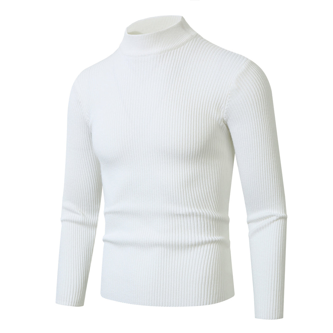 Herren Rollkragenpullover mit feiner Rippstruktur Aliams