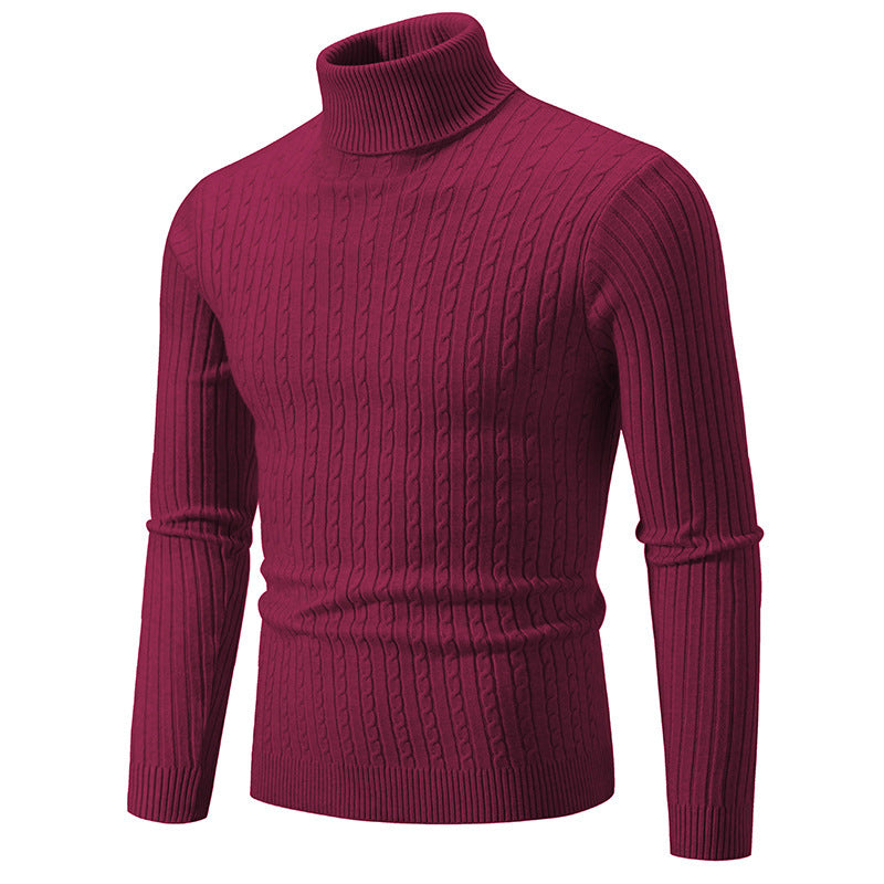 Herren Rollkragenpullover mit strukturiertem Strickmuster Aliams