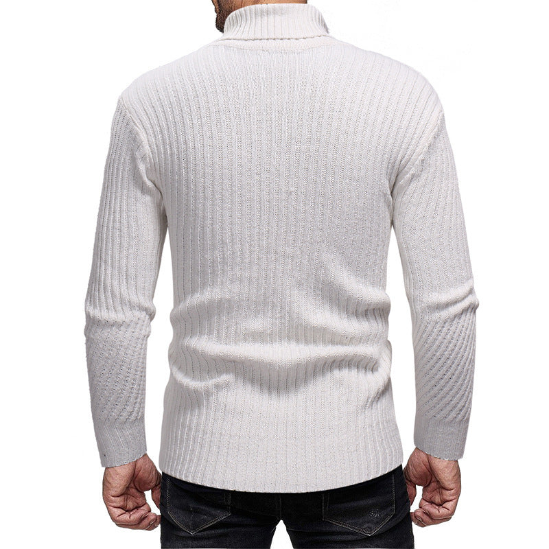 Herren Rollkragenpullover Aliams