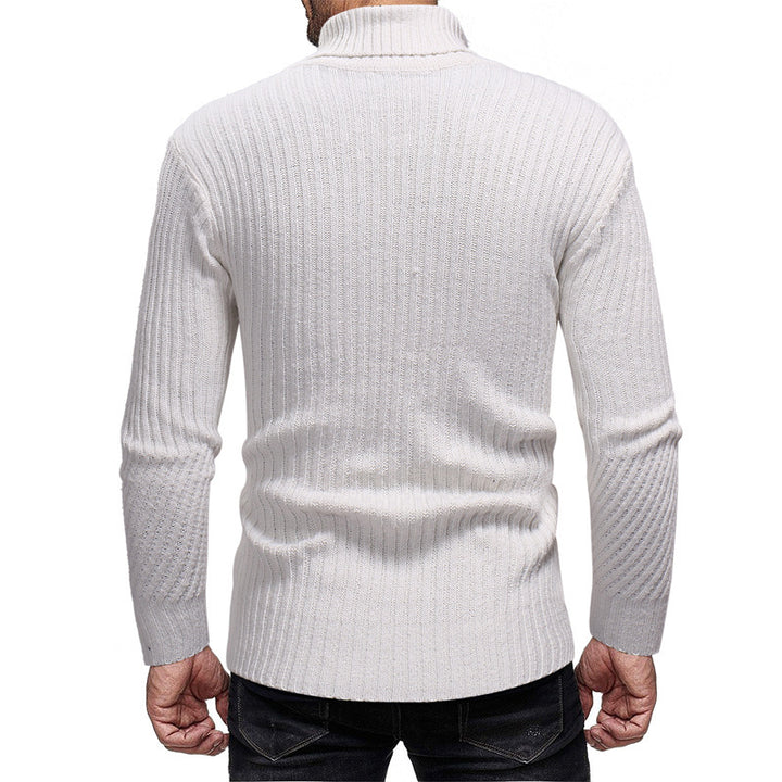 Herren Rollkragenpullover Aliams