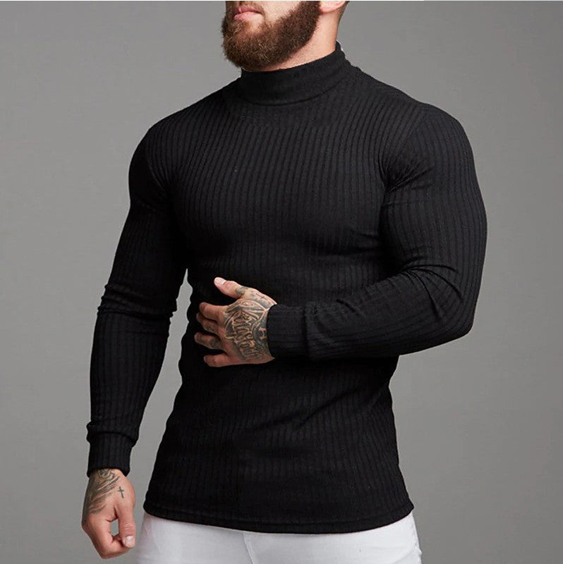 Herren Rollkragenpullover aus Rippstrick Aliams