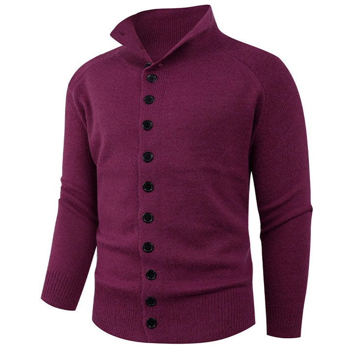 Herren Strickpullover mit hohem Kragen und Knopfverschluss Aliams