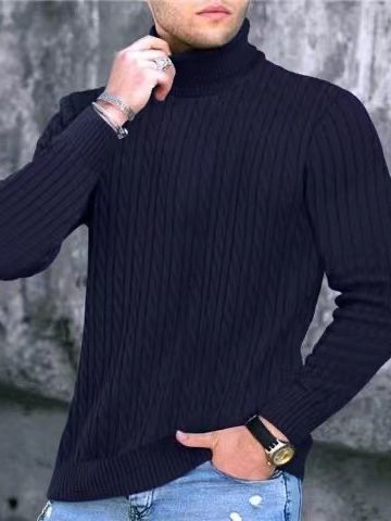 Herren Rollkragenpullover mit strukturiertem Strickmuster Aliams