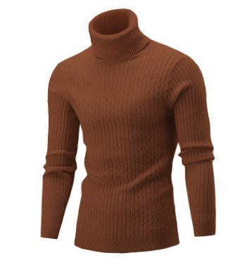 Herren Rollkragenpullover Aliams