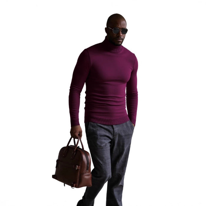 Herren rollkragen pullover mit feiner Struktur Aliams