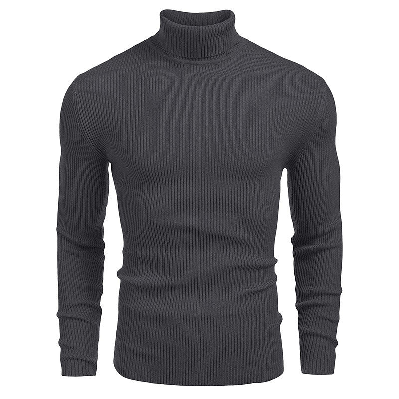 Herren Rollkragenpullover aus feinem Rippstrickmaterial Aliams