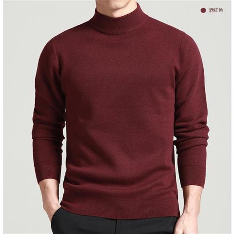 Herren Hochwertiger Rollkragenpullover Aliams